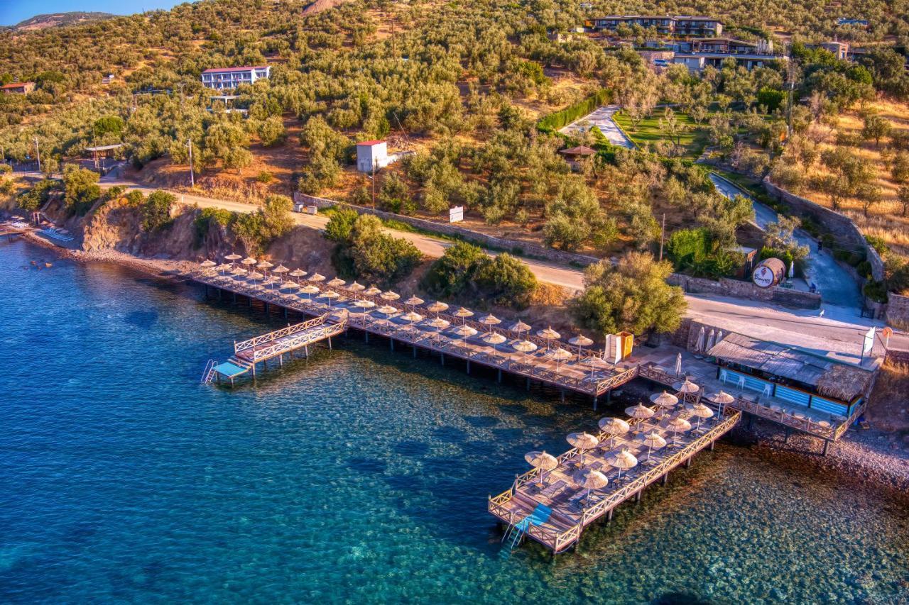 Assos Dionysos Special Class Hotel Adults Only 12 Years Exterior foto